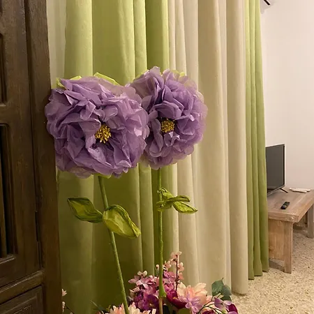 Casa Graziusa Apartament Palermo