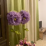 Casa Graziusa Apartamento Palermo
